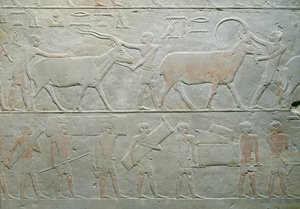Tjenere som kjører en oryx og en antilope og andre som bærer bagasje, fra Mastaba of Akhethotep, Saqqara, Old Kingdom, ca. 2400 f.Kr. (malt kalkstein)