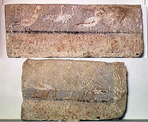 Veggmaleri som viser fugler, Old Kingdom (malt kalsitt)