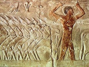 Eseltropp, fra Mastaba of Mereruka, Old Kingdom (veggmaleri)