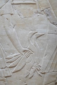  av Egyptian Egyptian