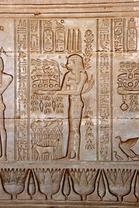 Egyptisk antikke: representasjon av en ung kvinne som bringer ofre som hyllest til gudinnen, Hathor-tempelet, Dendera, Egypt av Egyptian Ptolemaic Period