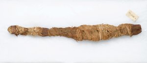 Krokodillemumien, funnet ved Manfalont, 305 f.Kr.-30 f.Kr. (dyrerester og lin) av Egyptian School