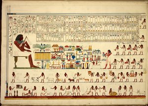 Egyptiske hieroglyfer, fra utsikt, etc., fra Sheikh-Hassan til Beni-Hassan, Atlas Folio (papir)
