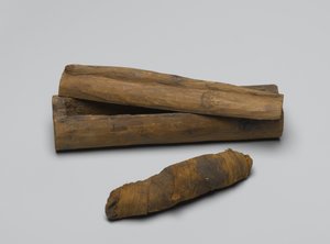 Liten kiste av slange, med mumie, 664 f.Kr.-322 f.Kr. (tre, dyrerester og lin)