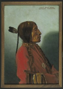 Sjef Wolf-Robe
