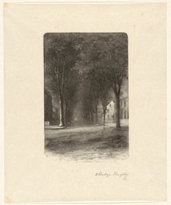 Uten tittel [Tre-lined Street]