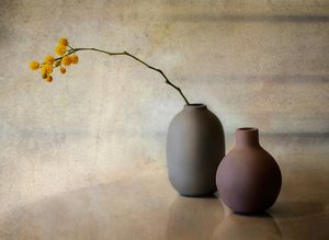 Minimalistiske blomstervaser