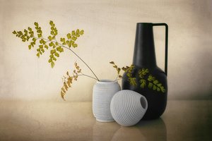 Moderne vaser – stilleben