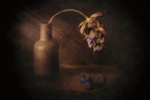 Moody blomstervase av Elena Arjona