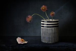Stemningsfulle, piggete blomster av Elena Arjona