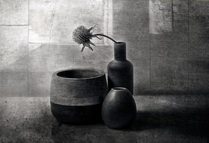 Moody Thistle-fartøyene av Elena Arjona
