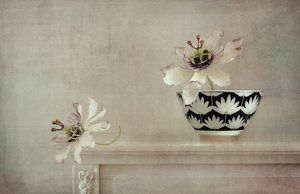 Stilleben med pasjonsblomst av Elena Arjona