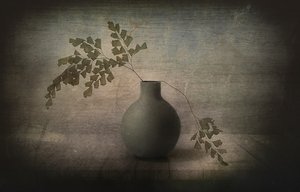Stilleben med stille bregne av Elena Arjona