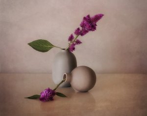 Rolige blomstervaser av Elena Arjona