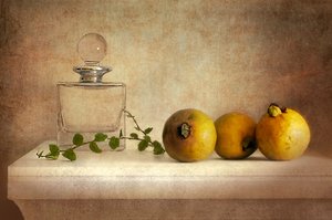 Vintage-stillbilde av guava av Elena Arjona