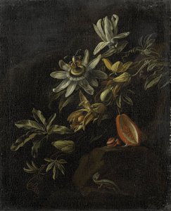 Stilleben med pasjonsblomster av Elias van den Broeck