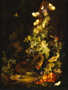 Stilleben med en slange, tidlig på 1700-tallet