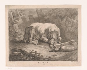 sovende hund Phylax (tittel på objekt) av Élie du Mesnil