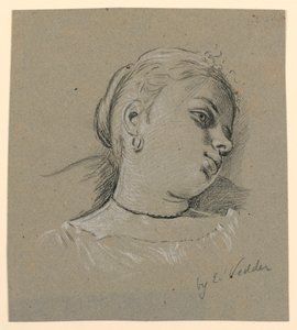  av Elihu Vedder