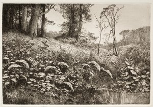 En sommerettermiddag av Elis F. Miller