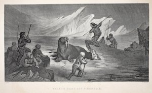 Walrus Hunt off Pikantlik, illustrasjon fra 
