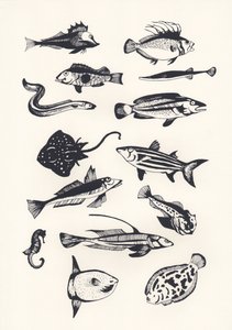 Monotone Plain Fish, 2015 (skjermtrykk)
