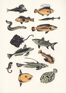 Plain Fish, 2015 (skjermtrykk) av Eliza Southwood