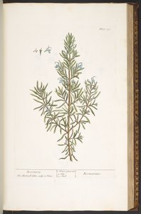 Tallerken 159, fra 