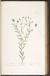 Tallerken 160, fra 