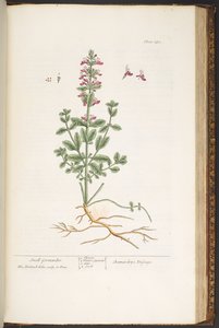 Tallerken 180, fra 
