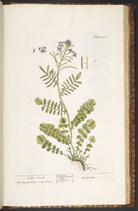 Tallerken 223, fra 