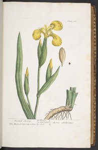 Tallerken 261, fra 