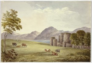  av Elizabeth Murray