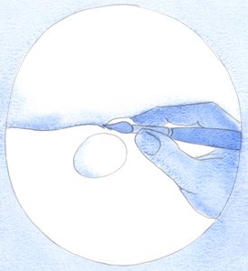 Ved å trykke på en kunstners pensel fyller pigment en vannpøl. Ved vår "berøring" av angrende bønn, "tegner" vi Guds nåde i oss, 2002 (w/c på papir) av Elizabeth Wang