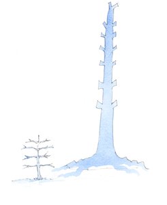 Kirken har vokst, ettersom en gigantisk eik vokser fra en frø, 2003 (w/c på papir) av Elizabeth Wang