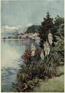 A Group of Yuccas, Villa Melzi, Lago di Como, illustrasjon fra 'The Italian lakes' av Richard Bagot av Ella Du Cane