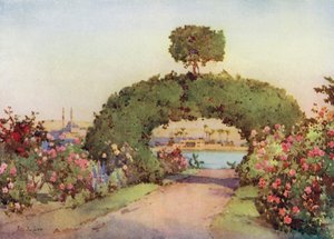 En rosehage ved Giza, og utsikt over Kairo (farge litho) av Ella Du Cane