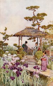 An Iris Garden (farge litho) av Ella Du Cane