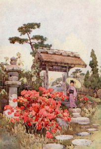 Azalea (farge litho) av Ella Du Cane