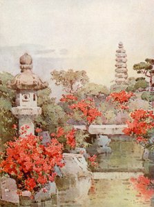 Azalea, Kyoto (farge litho)