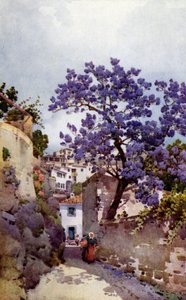 Jacaranda Tree (farge litho) av Ella Du Cane