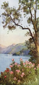 Lake Lecco, Comosjøen (farge litho) av Ella Du Cane