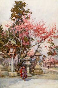 Plommeblomst og lykter (farge litho) av Ella Du Cane