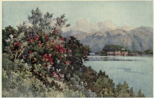 Roser, Villa Carlotta, Lago di Como, Illustrasjon fra 'De italienske innsjøene' av Richard Bagot av Ella Du Cane