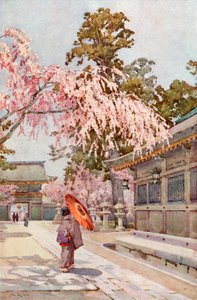 The Rooping Cherry (farge litho) av Ella Du Cane