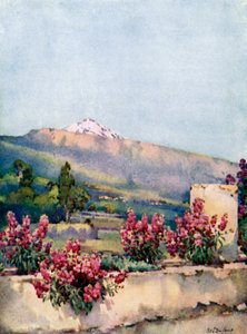 The Peak, fra Villa Orotava (farge litho) av Ella Du Cane