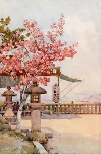 The Pink Cherry (farge litho) av Ella Du Cane