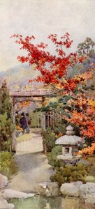 The Scarlet Maple (farge litho) av Ella Du Cane
