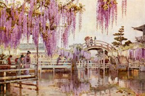 Wistaria, Kameido (farge litho) av Ella Du Cane