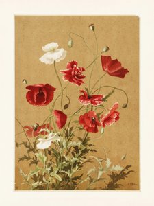  av Ellen Thayer Fisher